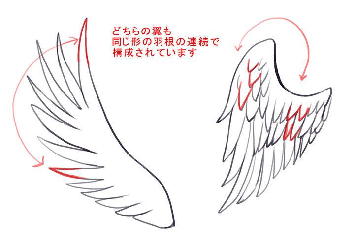 羽の描き方