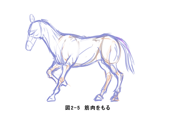 動物 馬 描き方