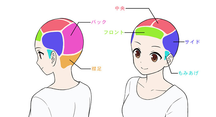 初心者が陥りがちな誤った髪の描き方と解決法 いちあっぷ