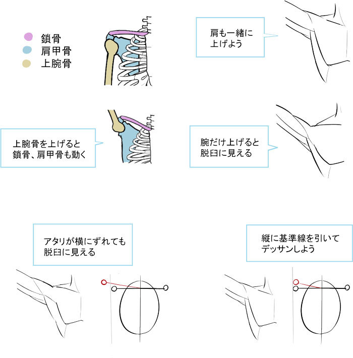 形の丸暗記で地盤を固める 肩の描き方 いちあっぷ