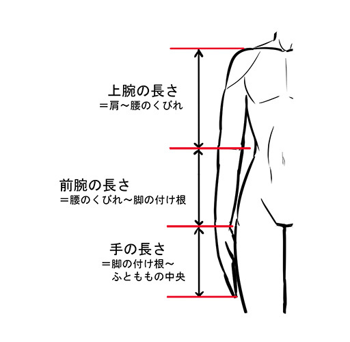 人体の比率を覚えれば人物イラストが上手になる アタリの取り方講座 いちあっぷ