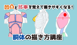 凹凸と比率を覚えて描きやすくなる！ 胴体の描き方講座