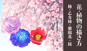 和の花・植物の描き方4選（椿・乙女椿・紫陽花・桜）