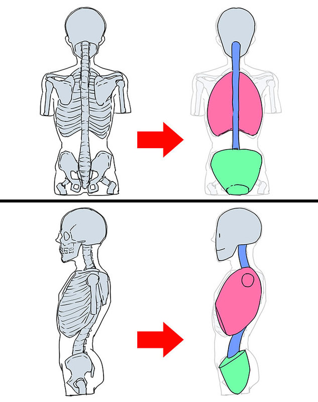 体の描き方