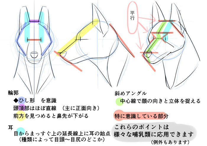 最新のhd狼 イラスト 描き方 アニメ画像