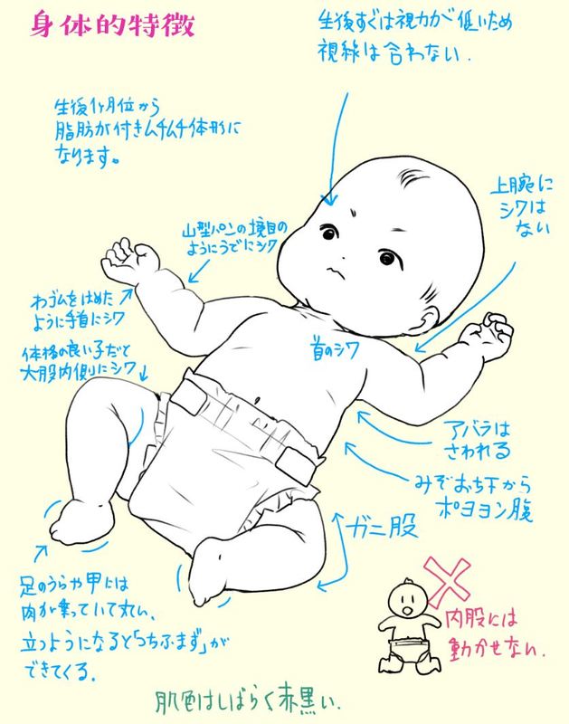 赤ちゃんの身体的特徴