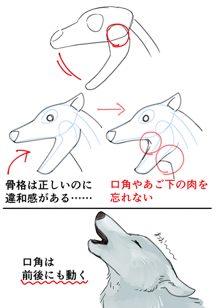 最新のhd狼 イラスト 書き方 ただのディズニー画像