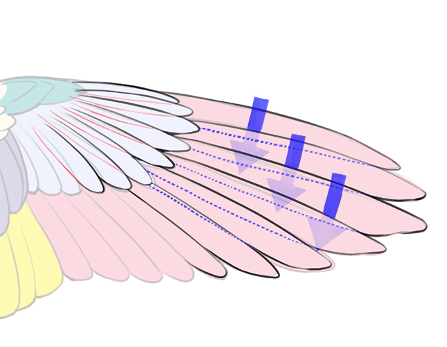 テキトーに描くのはもったいない 見栄え リアルさを融合した翼の描き方講座 いちあっぷ