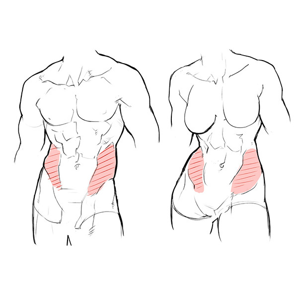 男女の体格差から学ぼう 筋肉質な女性の描き方 いちあっぷ