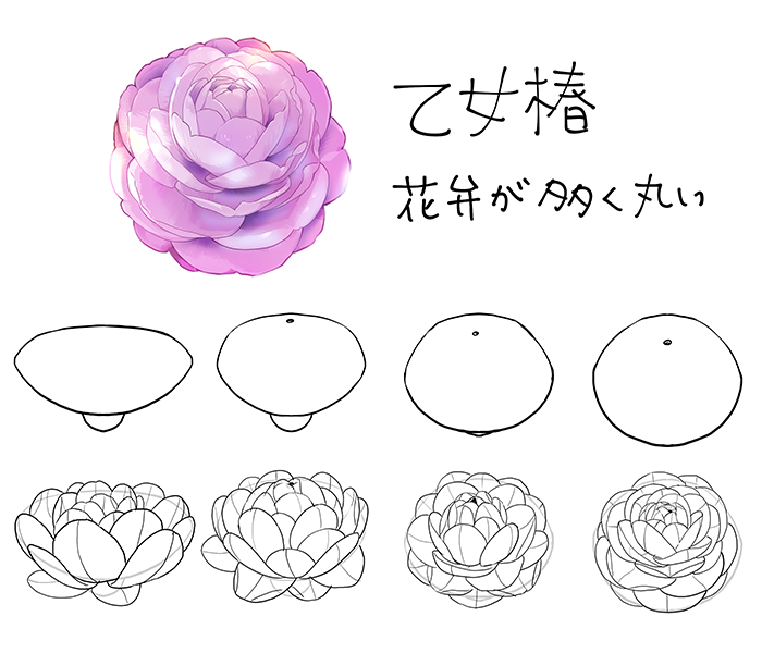 和の花 植物の描き方4選 椿 乙女椿 紫陽花 桜 いちあっぷ