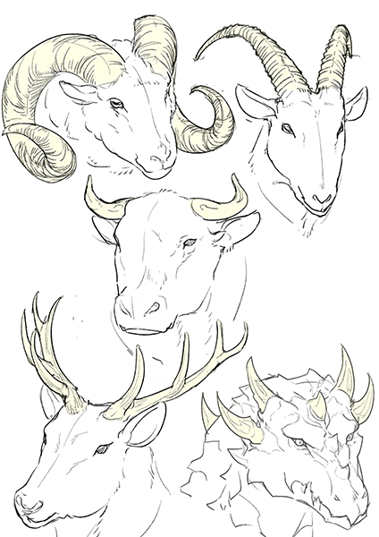 動物にもモンスターにも使える！ツノの描き方 | いちあっぷ