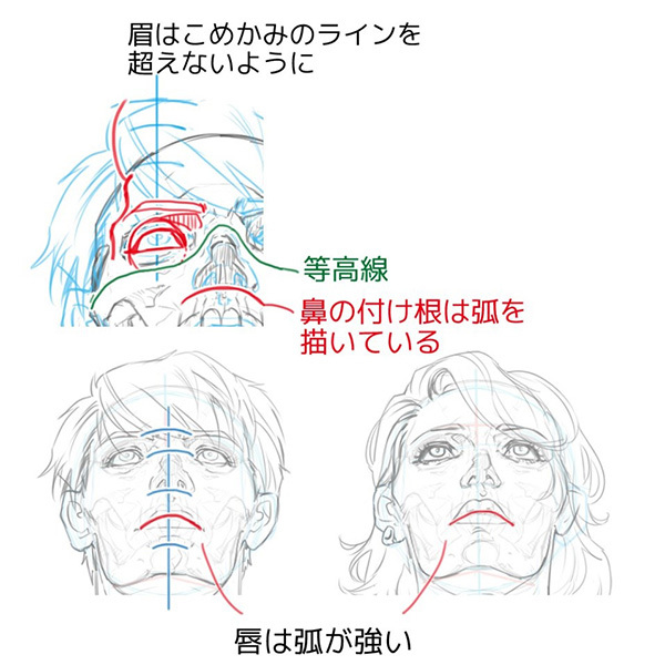 構造から理解しよう あおりと俯瞰 フカン のついた顔の描き方 いちあっぷ