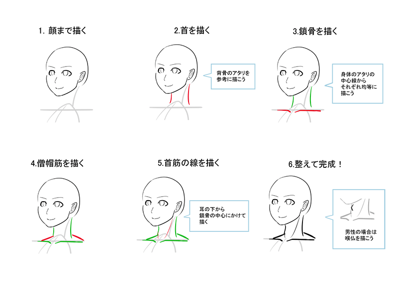 首を描くコツ