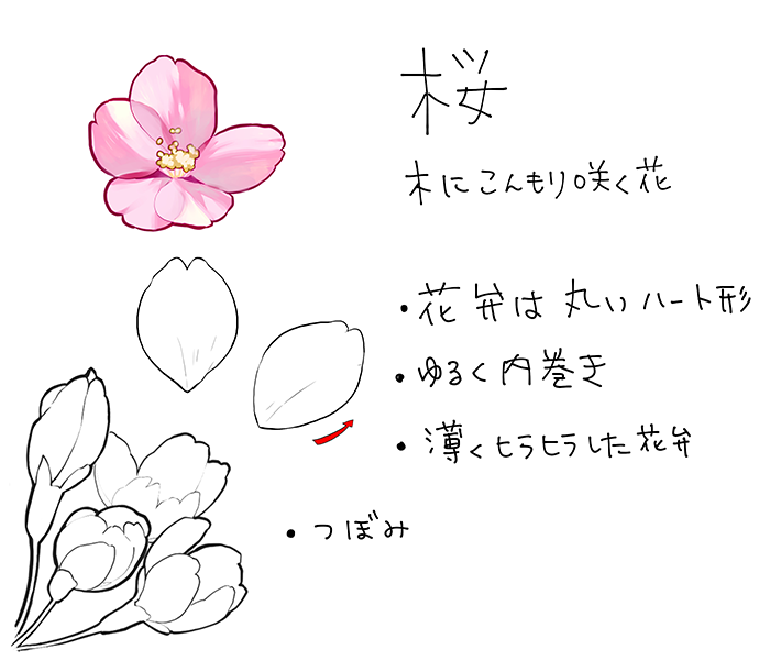 イラスト集 ぜいたく花 描き方 イラスト