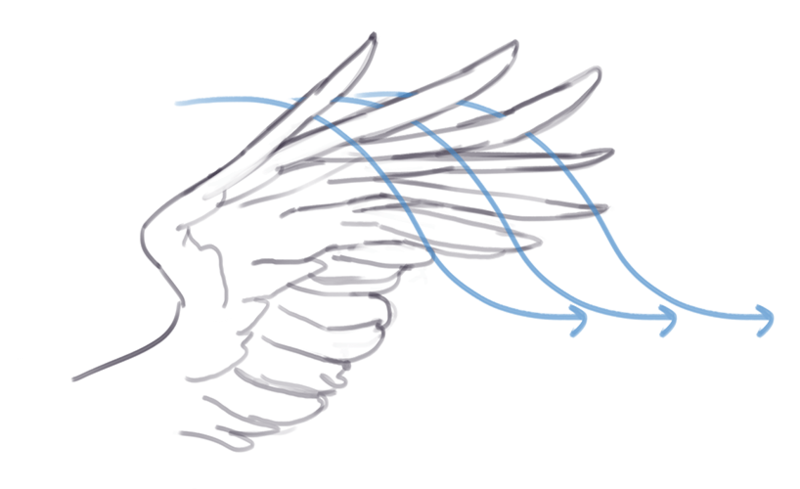 テキトーに描くのはもったいない 見栄え リアルさを融合した翼の描き方講座 いちあっぷ