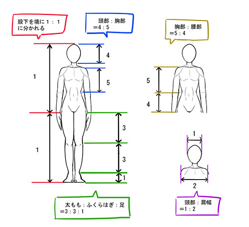 人体の比率を覚えれば人物イラストが上手になる アタリの取り方講座 いちあっぷ