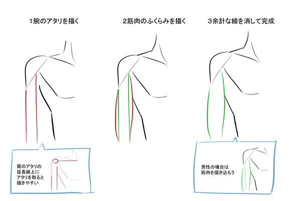 構造と比率を覚えれば上達できる 腕の描き方講座 いちあっぷ