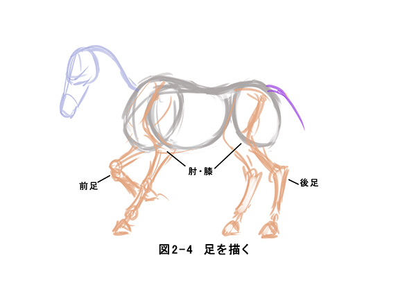 ウマを描いて実践 動物の描き方の基礎 いちあっぷ