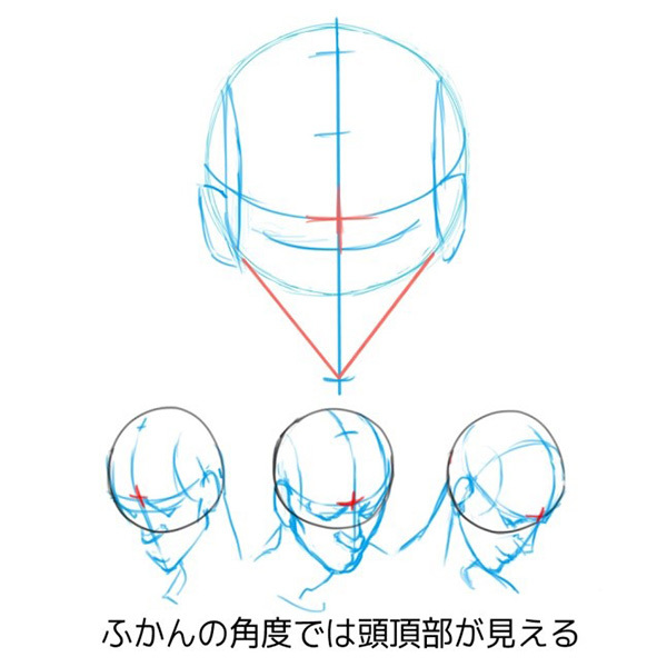 構造から理解しよう あおりと俯瞰 フカン のついた顔の描き方