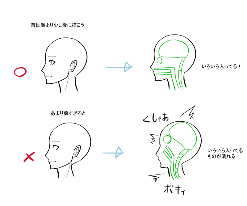 首を描くコツ