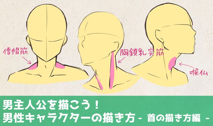 男主人公を描こう 男性キャラクターの描き方 首の描き方編 いちあっぷ