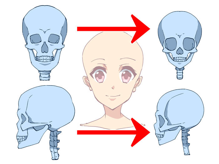 顔の各パーツをチェック デフォルメをバランス良く描くには いちあっぷ