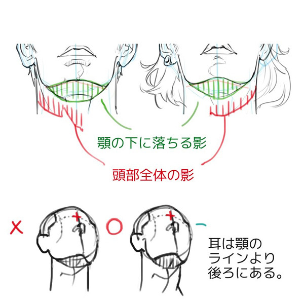 構造から理解しよう あおりと俯瞰 フカン のついた顔の描き方