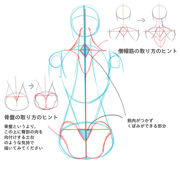 アタリが取れればカッコよく描ける 男女別背中の描き方 いちあっぷ