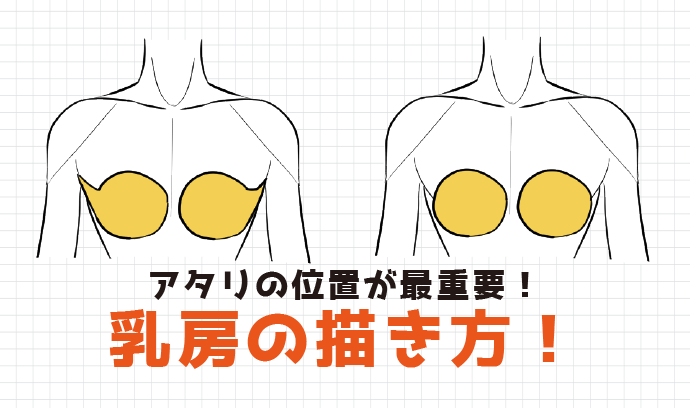 アタリの位置が最重要 乳房の描き方 いちあっぷ