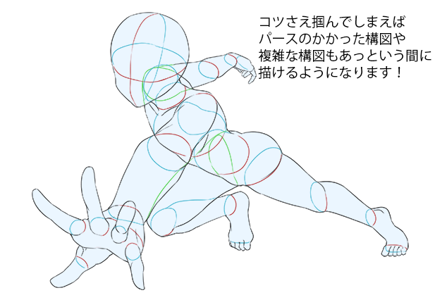 輪切りにするとよく分かる 人物のアタリの取り方のコツ いちあっぷ