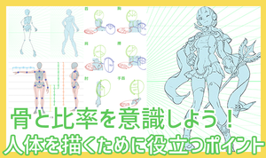 骨と比率を意識しよう！ 人体を描くために役立つポイント