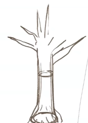 枝の描き方