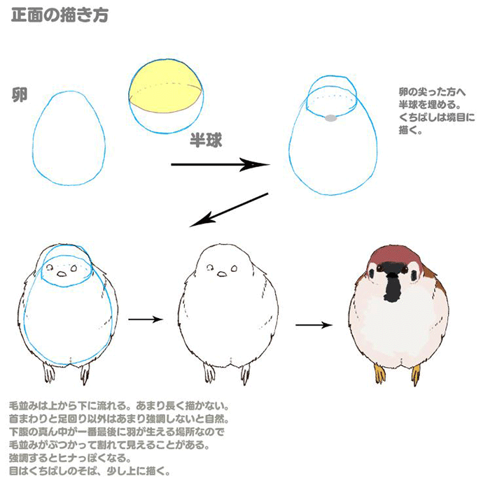 特徴を押さえて描こう 鳥の描き方講座 スズメ編 いちあっぷ