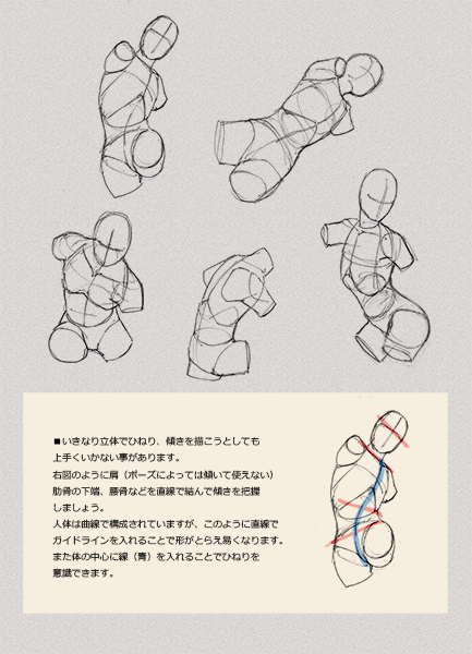 人体のとらえ方 胴体 胸 腰 前面 いちあっぷ