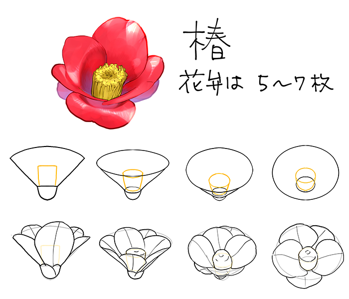 和の花・植物の描き方4選（椿・乙女椿・紫陽花・桜） | いちあっぷ