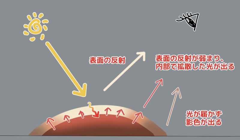 光学現象の理屈を活かす！肌の透明感を表現する方法 | いちあっぷ