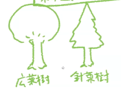 木の種類について