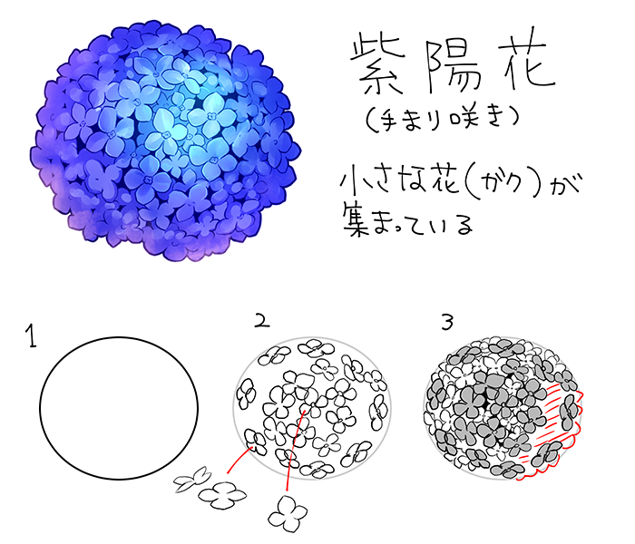 和の花 植物の描き方4選 椿 乙女椿 紫陽花 桜 いちあっぷ