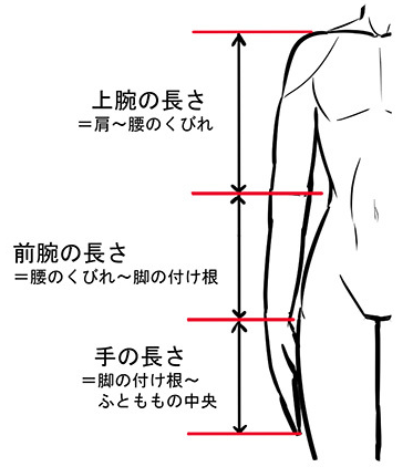 腕の長さ 服 コレクション