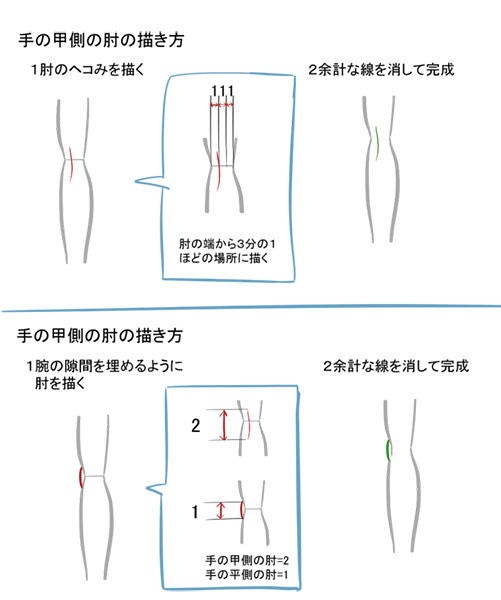 構造と比率を覚えれば上達できる 腕の描き方講座 いちあっぷ