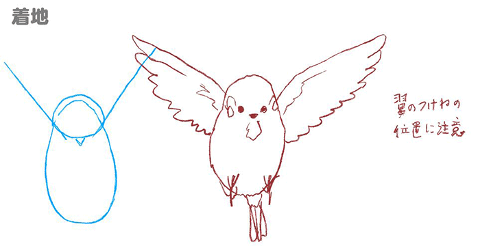 特徴を押さえて描こう 鳥の描き方講座 スズメ編 いちあっぷ