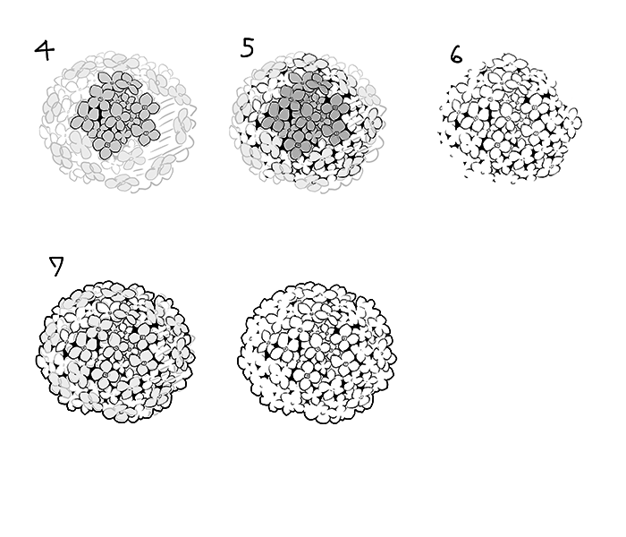 和の花 植物の描き方4選 椿 乙女椿 紫陽花 桜 いちあっぷ