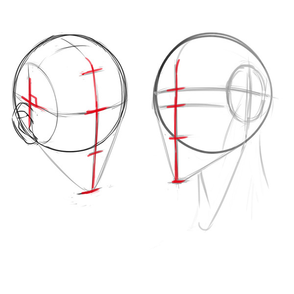 比率のバランスから学ぼう 斜め顔と斜め後ろから見た顔の描き方 いちあっぷ