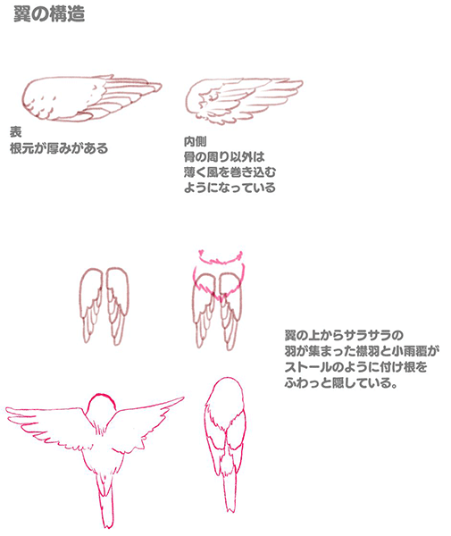 特徴を押さえて描こう 鳥の描き方講座 スズメ編 いちあっぷ