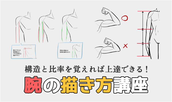 構造と比率を覚えれば上達できる 腕の描き方講座 いちあっぷ