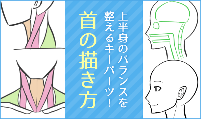 上半身のバランスを整えるキーパーツ 首の描き方 いちあっぷ