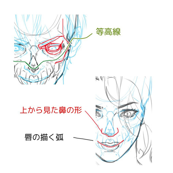 構造から理解しよう あおりと俯瞰 フカン のついた顔の描き方