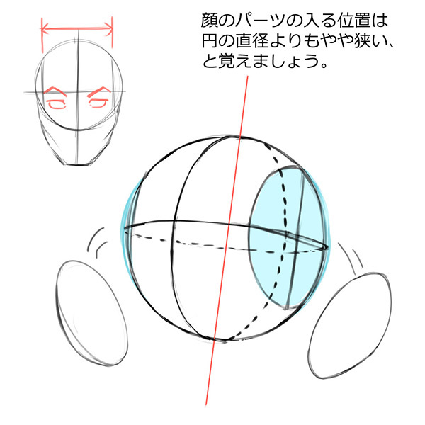 まずは比率を分析 リアルな顔の描き方が分かるアタリの取り方 いちあっぷ