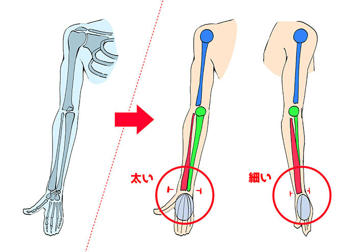 腕の描き方