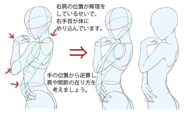 輪切りにするとよく分かる 人物のアタリの取り方のコツ いちあっぷ